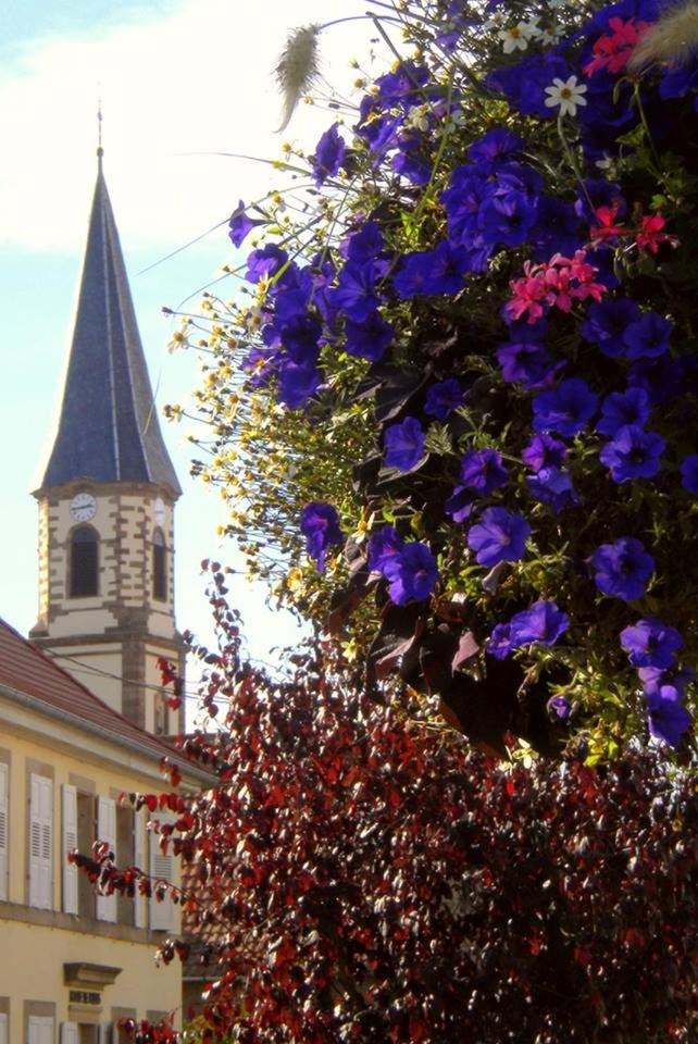 Gite le piémont des Vosges Stotzheim Esterno foto