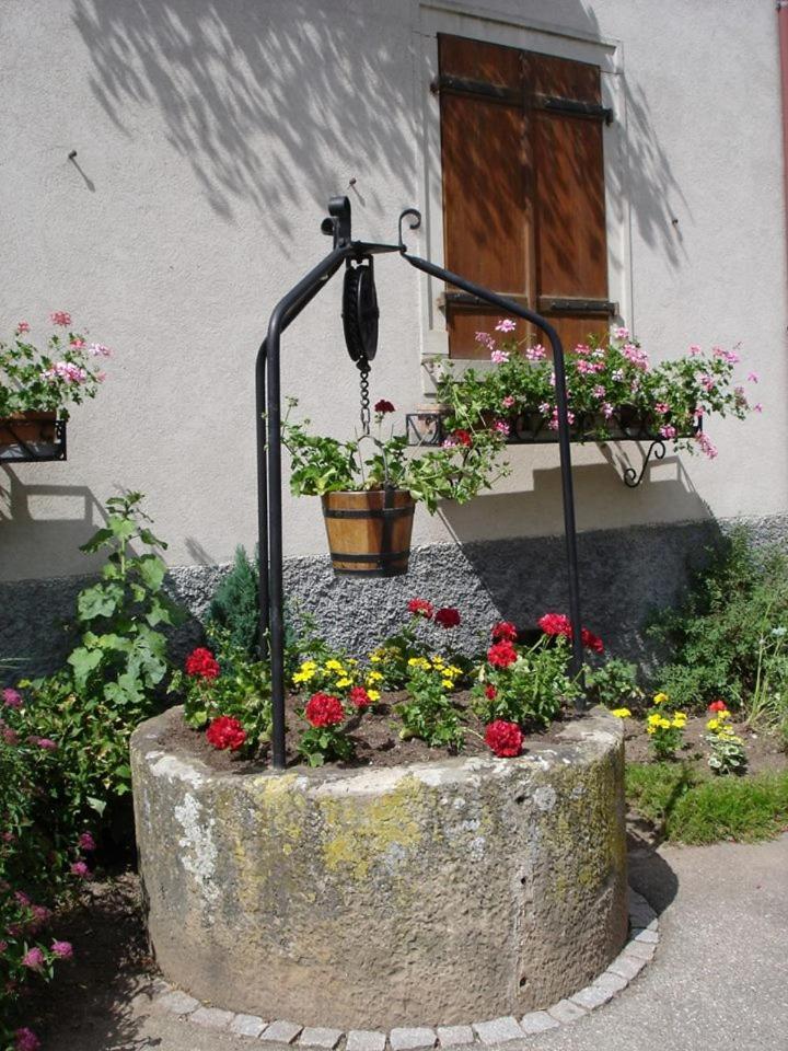 Gite le piémont des Vosges Stotzheim Esterno foto