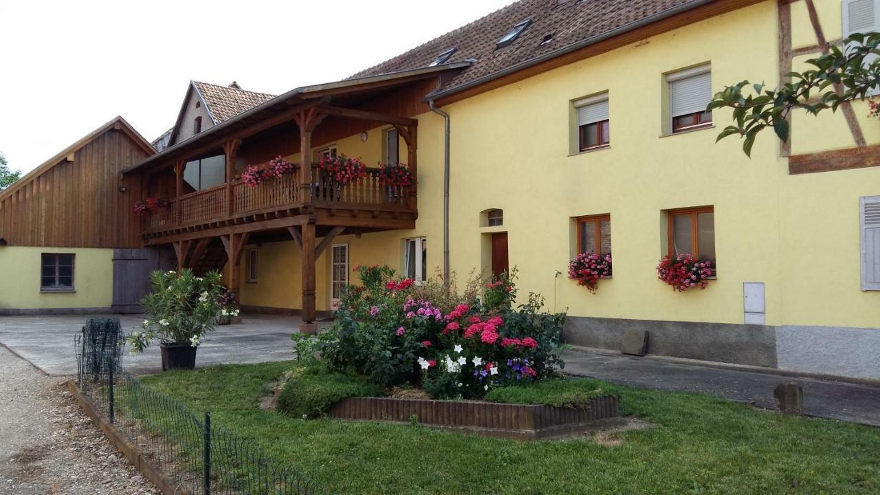 Gite le piémont des Vosges Stotzheim Esterno foto